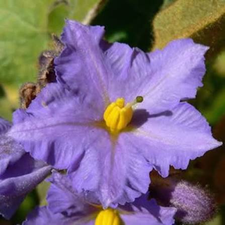 images (35)